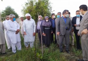 برای توسعه سواحل مکران ۸۵ طرح و پروژه ابلاغ شده است