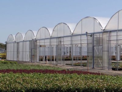 گلخانه های زاهدان محل تفریح یا محل تولید.