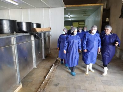 بخش مهم زنجیره تولید کنسرو ماهی در استان تکمیل شد