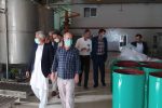 واحد تولیدی نخل طلایی بلوچ با ایجاد اشتغال برای ۳۰ نفر احیا شد