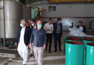  واحد تولیدی نخل طلایی بلوچ با ایجاد اشتغال برای ۳۰ نفر احیا شد