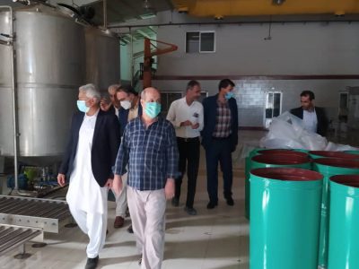  واحد تولیدی نخل طلایی بلوچ با ایجاد اشتغال برای ۳۰ نفر احیا شد
