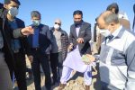 اکتشاف مس در نیمروز سیستان و بلوچستان اقلیم اقتصادی منطقه را تغییر می‌دهد