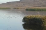 پیشنهاد ایجاد دریاچه مصنوعی و ساخت بزرگترین سد نخاله ای جهان در زاهدان بدون هزینه