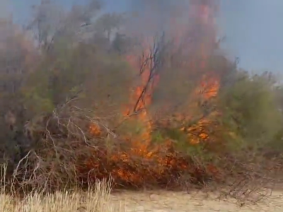 ۵۰۰ متر مربع عرصه جنگل جزینک در آتش سوخت