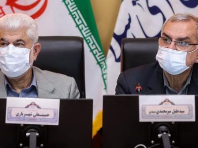 اختصاص ارز به شرکت های تولیدکننده راهکار تثبیت قیمت دارو