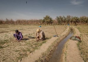 راهکارهای فوری برای برون رفت از چالش های جدی پیش روی سیستان