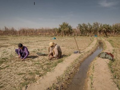 مدیریت کشاورزی در دوران بحران آب 