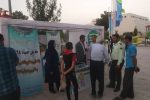 نمایشگاه عکس شیشه عمر در پارک یاس زاهدان برگزار شد