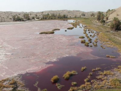 نفسهای تالاب هامون جازموریان هم تنگ شد