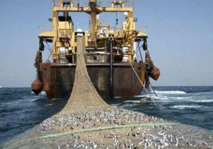 توسعه ماهی گیری برای برچیده شدن فقر و نداری در سیستان و بلوچستان