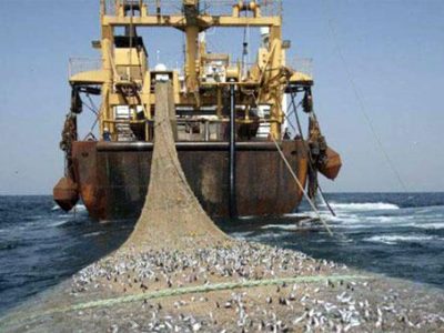 توسعه ماهی گیری برای برچیده شدن فقر و نداری در سیستان و بلوچستان