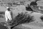 چرا به کشاورزان خسارت دیده سیستان “حق نکشت” پرداخت نمی‌شود؟