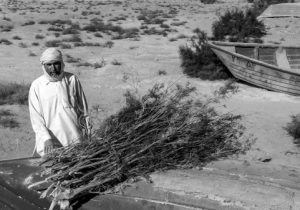 چرا به کشاورزان خسارت دیده سیستان “حق نکشت” پرداخت نمی‌شود؟