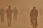 مقابله با ریزگردهای سیستان‌، اقدام مشترک محیط زیست و منابع طبیعی را می طلبد
