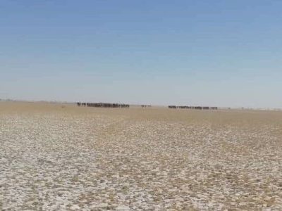 مهاجرت از تنگه احد ایران تبعات گرانی دارد/ تشنگی سیستان فراتر از تمام خبرهایی که منتشر می‌شود