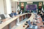 قوه قضاییه و ناجا برای اخراج شترها از تالاب هامون همکاری مطلوبی ندارند/ برنامه جامع تالاب هامون برای رصد اقدامات دستگاه ها در اختیار رسانه‌ها قرار می گیرد