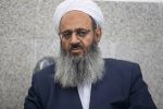 مولوی عبدالحمید پیرو کدام مکتب سیاسی است؟