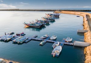 بندر زرآباد باید به عنوان مرز رسمی اعلام و گمرک در آن مستقر شود