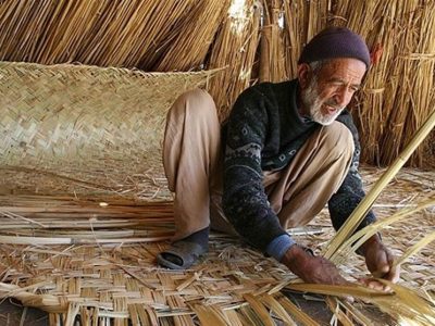 خبر خوش برای مردم سیستان؛ اخذ مجوز واردات گیاه لوئی (خولک) از کشور افغانستان