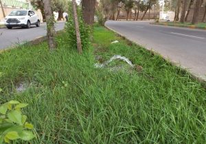 عدم فرهنگ سازی اصولی، یکی از علل بحران آب