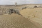 سیستان؛ قربانی بیابانزایی و خشکسالی