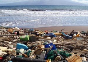 سخن گفتن از آلودگی پلاستیک در میانه تشنگی هیرمند، طغیان گرد و غبار سیستان و بلوچستان جایگاهی ندارد
