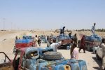 عضو مجمع نمایندگان استان: درآمد طرح رزاق بین مردم سیستان و بلوچستان توزیع شود