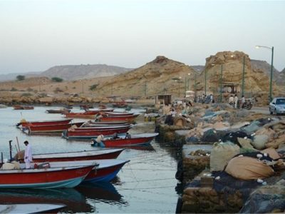 لایروبی اسکله تیس در انتظار صدور مجوز محیط زیست و تخصیص اعتبار است