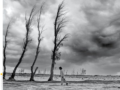 حال « تالاب هامون» خوب شود بر می‌گردیم