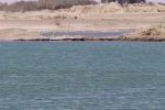 کانال های ترکو و قلعه افضل چالش جدی حقابه هیرمند 