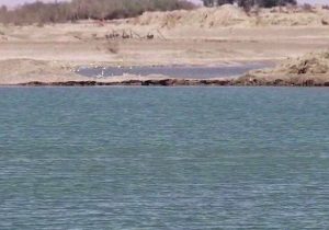 کانال های ترکو و قلعه افضل چالش جدی حقابه هیرمند 