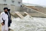 تعارف با طالبان را متوقف کنید