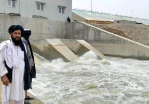 تعارف با طالبان را متوقف کنید