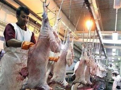 احیای بزرگترین کشتارگاه صنعتی جنوب شرق کشور، فرصتی برای واگذاری امتیاز واردات دام به مردم سیستان