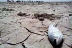 حل مناقشه آبی هیرمند مستلزم بلند شدن عصای رهبری ست
