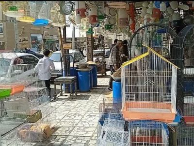 پیاده‌روهای زاهدان در تسخیر بساط کسبه و دست‌فروشان/ سد معبر؛ بلای روح و روان مردم