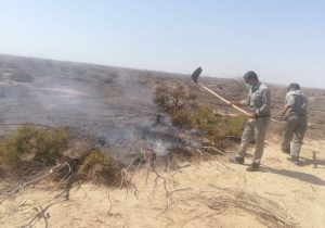 حریق تالاب هامون مهار شد