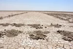 زخمی دیگر بر بستر بیجان هامون