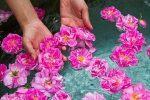 سه رویداد گردشگری سیستان و بلوچستان ثبت رسمی شد