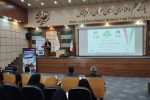 توجه به مسائل فرهنگی هزینههای سیاسی و امنیتی را کاهش میدهد