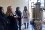 کارگاه عرقیات گیاهی و صنایع غذایی در زابل به بهره برداری رسید
