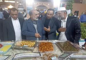 استاندار: گردشگری و صنایع دستی ۲ ظرفیت مهم سیستان و بلوچستان است