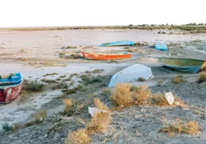 وزیر نیرو دو کلام معاهدهٔ هیرمند بخواند!