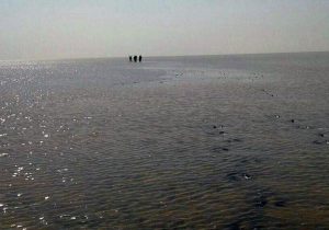 تالاب هامون جازموریان جان دوباره گرفت