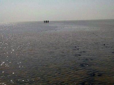 تالاب هامون جازموریان جان دوباره گرفت