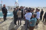 سیستان از طرح انتقال آب از تهلاب سهمی ندارد!