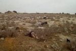پسماندهای پلاستیکی، محیط زیست سیستان را تهدید می کند