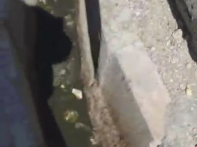 نبود زیر ساخت دفع فاضلاب در شهر محمدآباد عامل مشکلات زیست محیطی