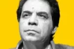 ایرانی مهاجر، افغانستانی مهاجر